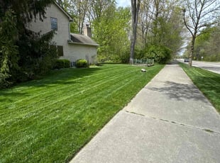 Chanel T.'s grass cutting service result