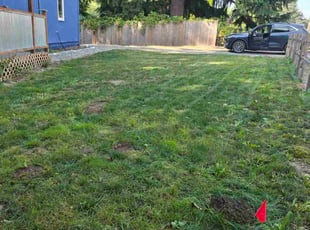 Russ W.'s turf maintenance service result