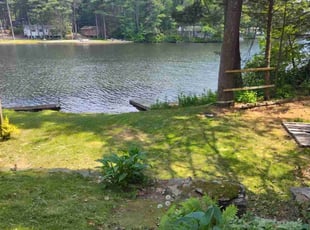 Mr B.'s grass maintenance service result