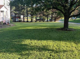 Cheryl C.'s lawn maintenance service result