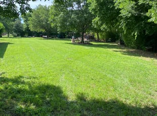 Liz B.'s lawn care service result