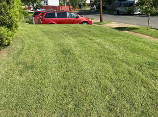 Rachel T.'s lawn care services service result