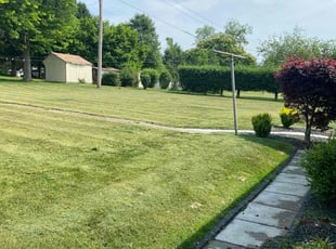 Melanie B.'s turf care service result