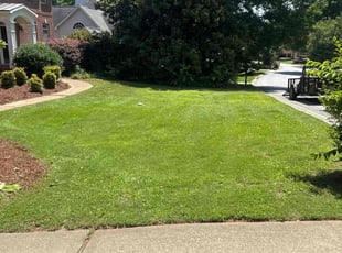 Margie S.'s yard care service result