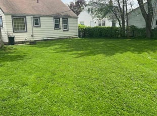 Renee J.'s turf maintenance service result