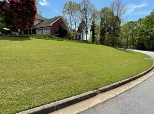 Ike S.'s lawn care service result