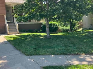 Sandi P.'s lawn service service result