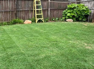 Ben H.'s lawn care services service result