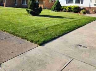 Bill R.'s lawn maintenance service result