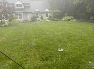 Troy F.'s turf maintenance service result