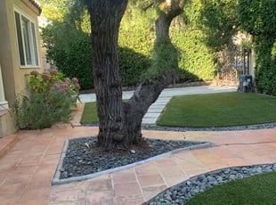 Richard P.'s grass cutting service result