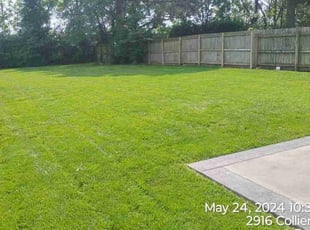 Mauricio C.'s lawn maintenance service result