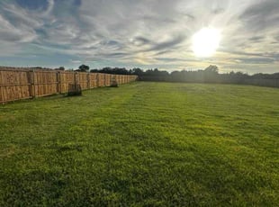 John D.'s lawn maintenance service result