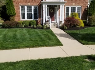 Sam M.'s Other service result