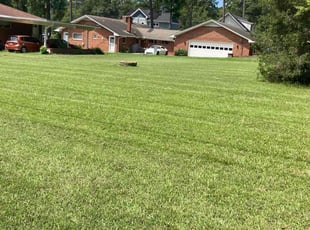 Robert H.'s turf care service result