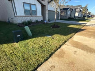 Minh L.'s lawn care service result