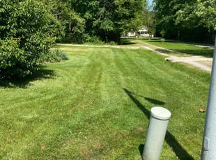 Sharon E.'s turf care service result
