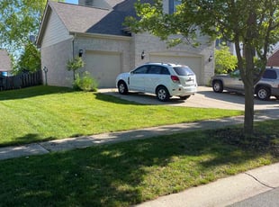 Oladapo A.'s yard maintenance service result