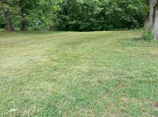 Jon N.'s grass cutting service result