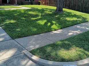 Carol B.'s grass cutting service result