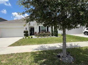 Juanita T.'s lawn maintenance service result