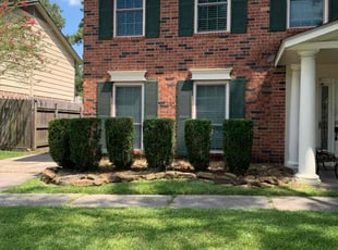 Justin B.'s Bush Trimming service result
