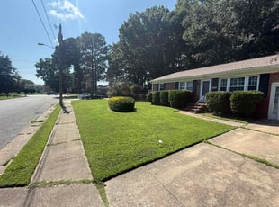 Patricia D.'s turf care service result