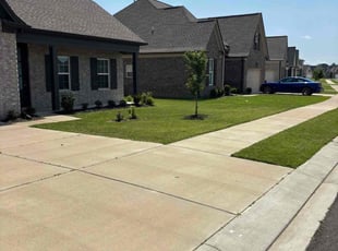 Sandra F.'s grass maintenance service result