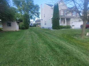 Phillip A.'s lawn care service result