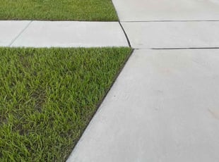 Kat S.'s turf maintenance service result