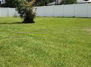 Amr A.'s lawn care services service result