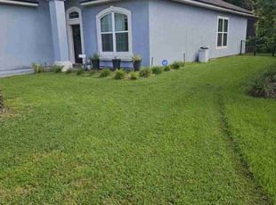 Tripti S.'s lawn maintenance service result