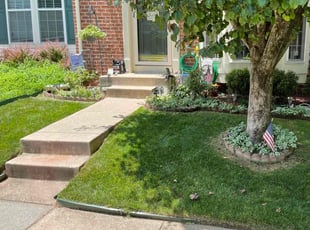 Hannah D.'s lawn service service result