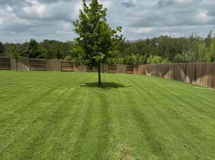 Jennifer R.'s lawn service service result