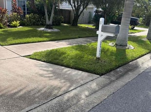 Chloe F.'s grass cutting service result