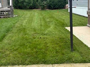 Mary K.'s lawn maintenance service result