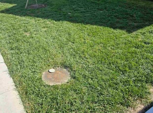 Jaime B.'s grass cutting service result