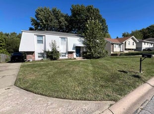 Steven R.'s grass cutting service result