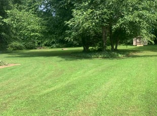 Kevin R.'s lawn care service result