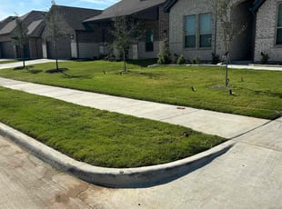 Stephenie T.'s turf care service result