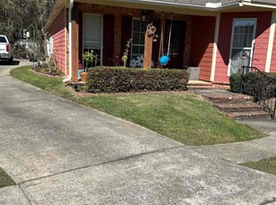 Barb R.'s grass cutting service result