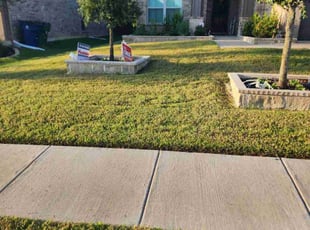 Tarron B.'s lawn maintenance service result