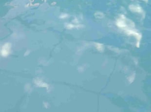 Mallory B.'s Pool Cleaning service result