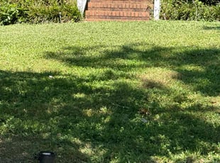 Andre S.'s lawn care service result