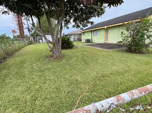 Deneise T.'s grass cutting service result