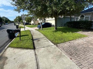 Chazzlen J.'s grass maintenance service result
