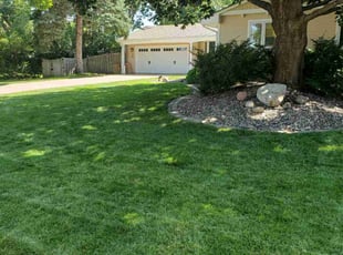 Kristi Y.'s lawn care service result