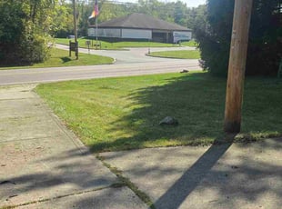 Jacqueline M.'s lawn care service result