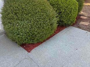 D L.'s Mulching service result