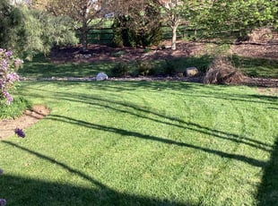 Dawn H.'s lawn care services service result